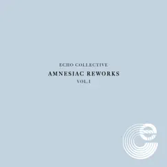 Amnesiac Reworks, Vol. 1 - Single by Echo Collective album reviews, ratings, credits