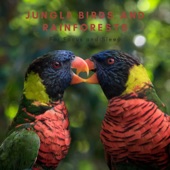 Jungle Birds and Rainforests for Focus and Sleep artwork