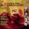 Bizet: Carmen, 2013