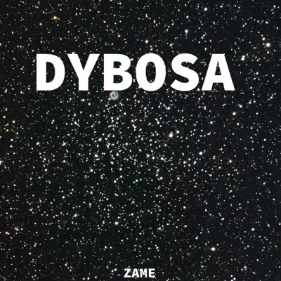 Dybosa - Single - Zame