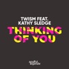 Thinking of You (feat. Kathy Sledge) - Single