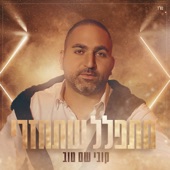 מתפלל שתחזרי artwork