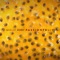 Passionfruit cover