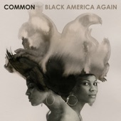 Common - Black America Again (feat. Stevie Wonder)