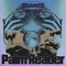 Palm Reader artwork