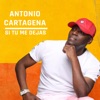 Si Tu Me Dejas - Single