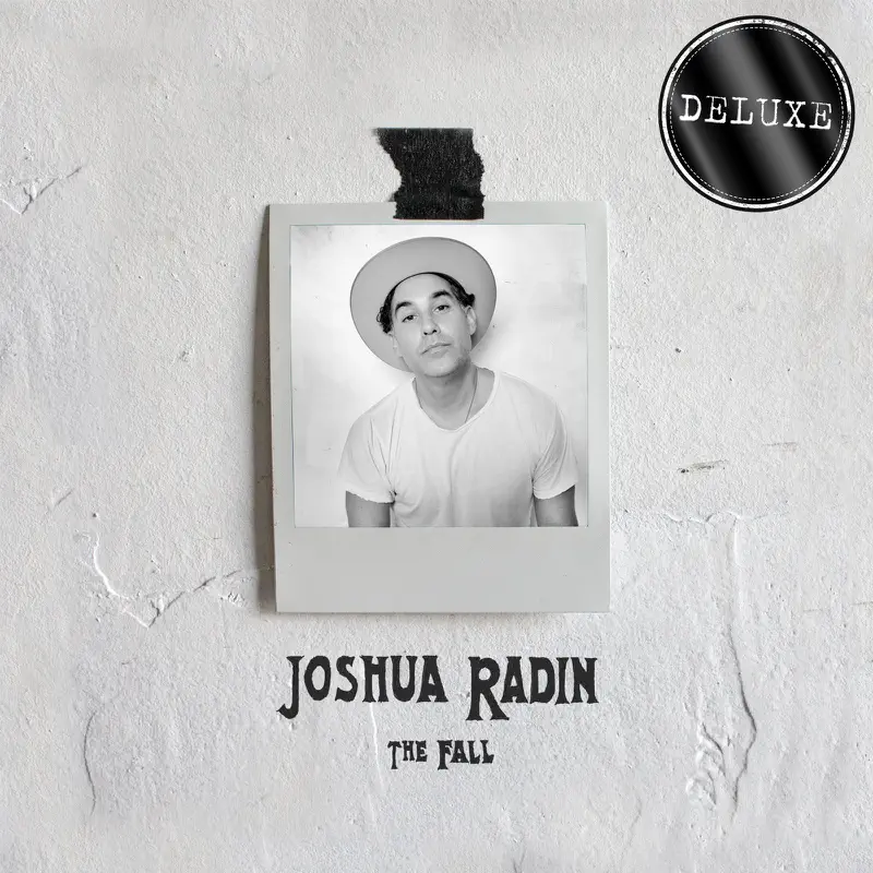 Joshua Radin - The Fall (Deluxe) (2017) [iTunes Plus AAC M4A]-新房子