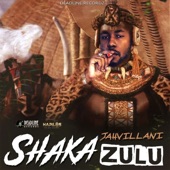 Shaka Zulu artwork