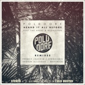 Heard It All Before (feat. The 49ers & Bodhilynn) [Singularis Remix] artwork