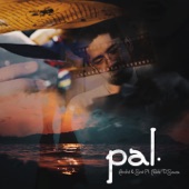 Pal (feat. Nikhil D'souza) artwork