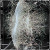 Solito - EP