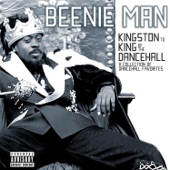 Girls Dem Sugar (feat. Mya) by Beenie Man