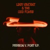 Liam Vincent - Tunnels