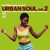Urban Soul Vol.2 (Downtempo, R&B, Nu Soul, Jazz Hop, Acid Jazz, Soulful House) artwork