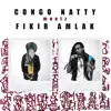 Congo Natty Meetz Fikir Amlak album lyrics, reviews, download