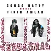 Stream & download Congo Natty Meetz Fikir Amlak