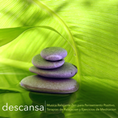 Descansa - Música Relajante Zen para Pensamiento Positivo, Terapias de Relajación y Ejercicios de Meditación - Música relajante