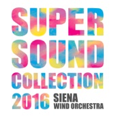 The Sound of Music Collection (Arr. for Symphonic Band By Hideaki Miura) artwork