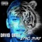 Zitro Divad - David Ortiz lyrics