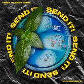 SEND IT! (Timmy Trumpet Remix) artwork