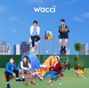 wacci