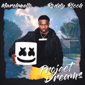 Project Dreams artwork