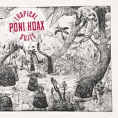 Poni Hoax - The Wild