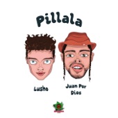 Pillala artwork