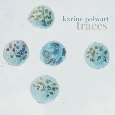 Traces - Karine Polwart Traces - Karine Polwart