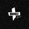 Module - Single