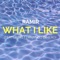 What I Like (feat. Fernando Dinero) - Ramir lyrics