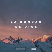 La Bondad De Dios (feat. Ileia Sharae) [Live] artwork