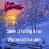 Snow Is Falling Down / Winternachtstraum - Single
