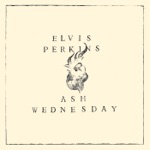 Elvis Perkins - While You Were Sleeping