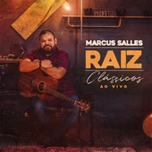 Raiz Clássicos (Ao Vivo) artwork