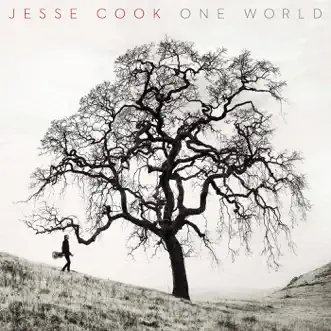 Shake by Jesse Cook song reviws