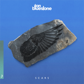 Scars - Ilan Bluestone