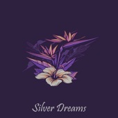 Silver Dreams (Instrumental) artwork