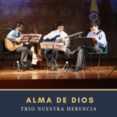 Alma de Dios artwork