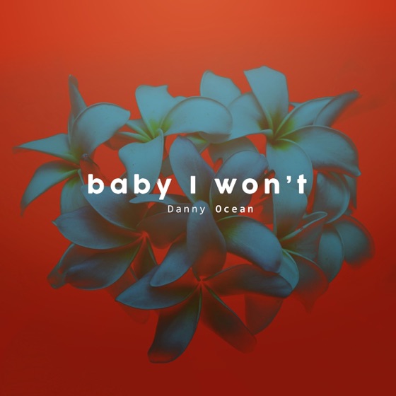 Cover artwork for Baby I Won't