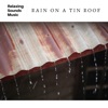 Rain on a Tin Roof