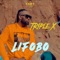 Lifobo artwork