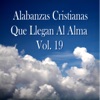 Alabanzas Cristianas Que Llegan al Alma, Vol. 19