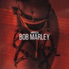 Bob Marley - Single