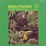 Walter Wanderley - Rain