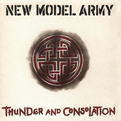 THUNDER AND CONSOLATION cover art