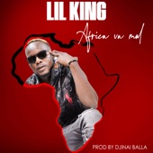 Africa va mal artwork