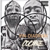 Vin-Diagram - Single
