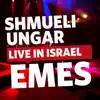 Emes (feat. Hamenagnim) - Single [Live] - Single album lyrics, reviews, download