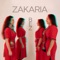 Turlek-Tirek - ZAKARIA lyrics